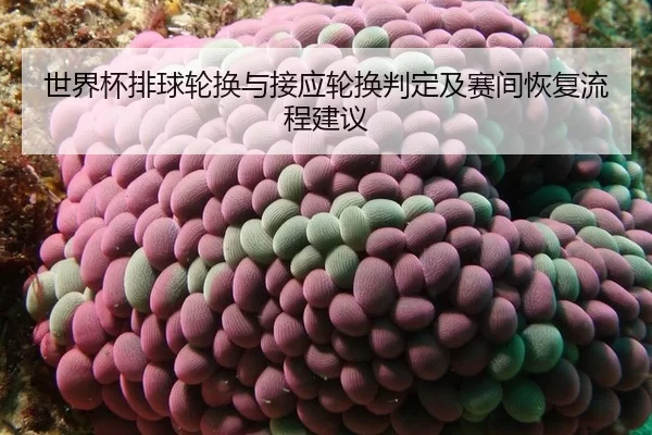 shi-jie-bei-pai-qiu-lun-huan-yu-jie-ying-lun-huan-pan-ding-ji-sai-jian-hui-fu-liu-cheng-jian-yi-2-487.jpg
